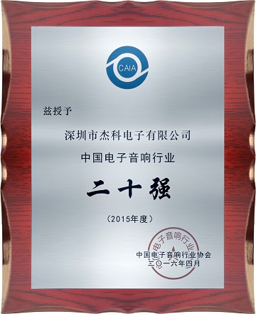 专注成就卓越--杰科公司荣获中国电子音响行业