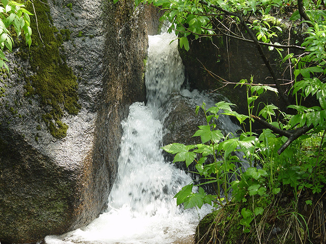 维维汤旺河大米荣获2016年厦门首届米王荣誉