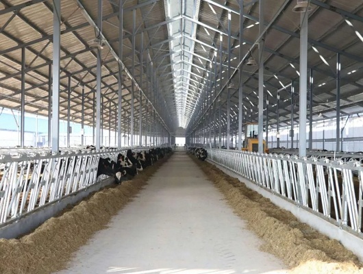 得益乳业·高效率推进山东新旧动能转化,助力