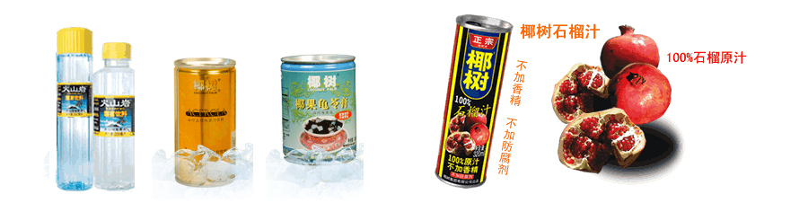 椰树集团海南椰汁饮料有限公司